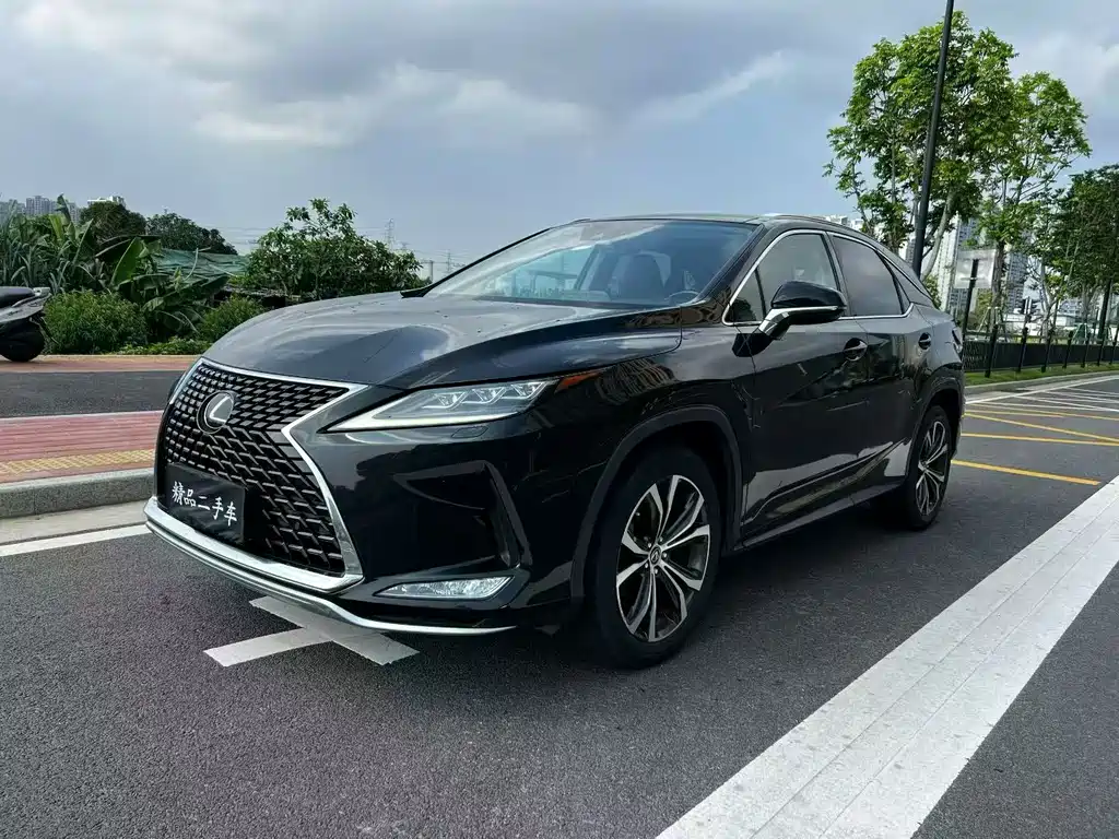 Lexus RX 2020 300 Elegant VI